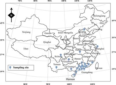 Prevalence, Virulence, Antimicrobial Resistance, and Molecular Characterization of Pseudomonas aeruginosa Isolates From Drinking Water in China